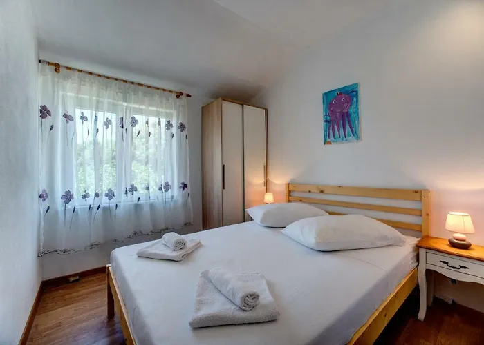 Apartment Jadran Brodarica (Sibenik-Knin)